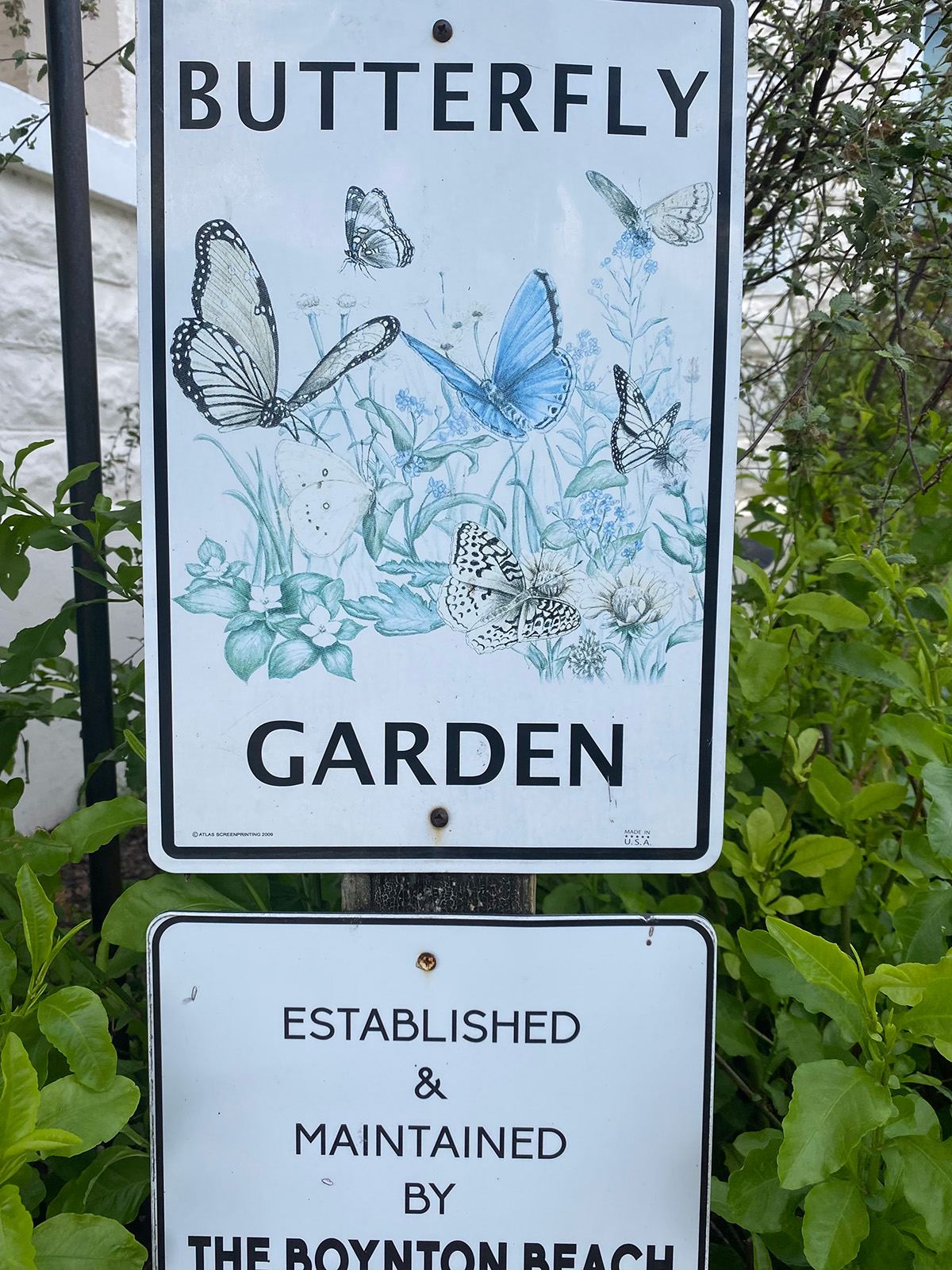 Sign at the butterfly garden reading Butterfly Garden, established and maintained by the Boynton Beach Garden Club