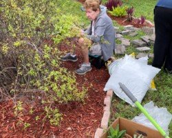 Out with the old plants ... in with the new!