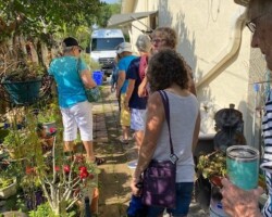 Enjoying Plants in Abundance while Sipping