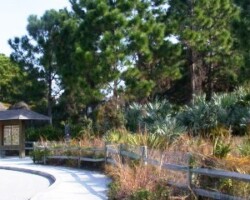 Seacrest Scrub Entrance