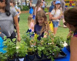 Difficult to Make a Decision