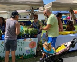 Free Plant for all Interested