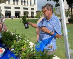 Passes Plant Inspection?