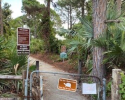 Don't Let Any Gopher Tortoises Out!
