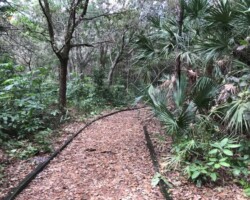 Enter the Nature Trail