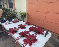 Hand-made pointsettias for our float