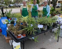 Displaying our plants