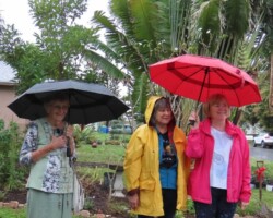 Spirits Cannot Be Dampened