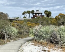 Path and observation tower