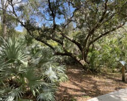 Paved Trail With Informative Signs