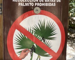 Seed Collection Prohibited!